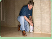 Shepperton pest control